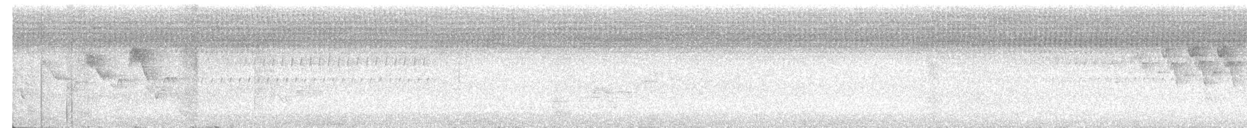 ハゴロモムシクイ - ML638877870