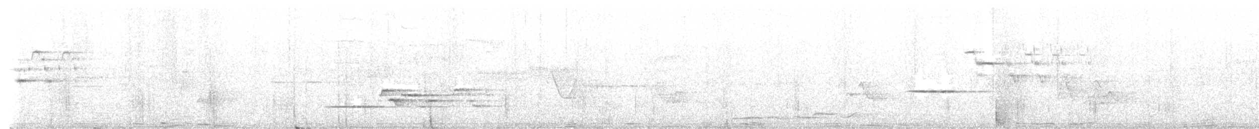 Hermit Thrush - ML638878828