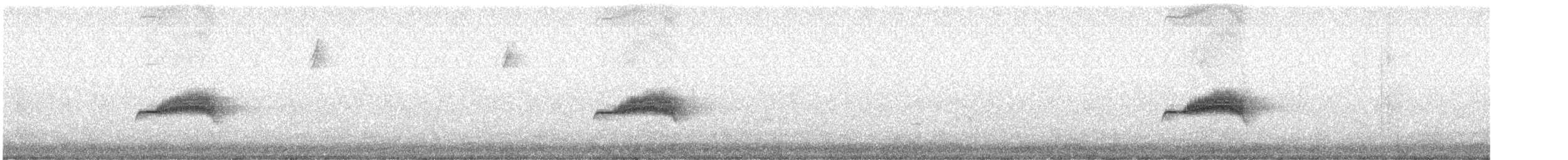 Western Wood-Pewee - ML638878993