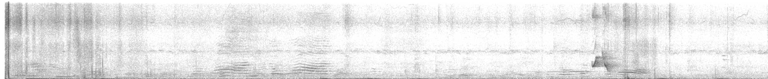 Japanese Bush Warbler - ML638879920