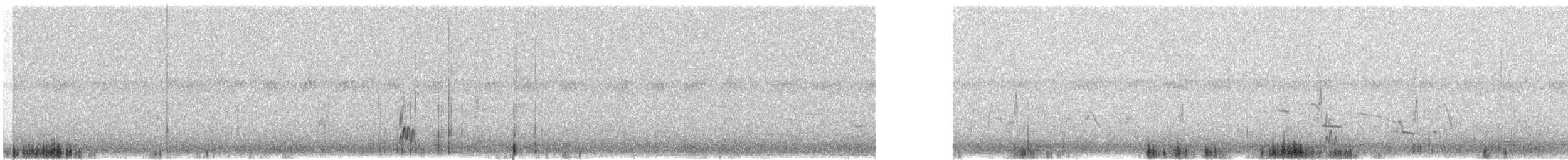 Snowy Plover - ML638882809
