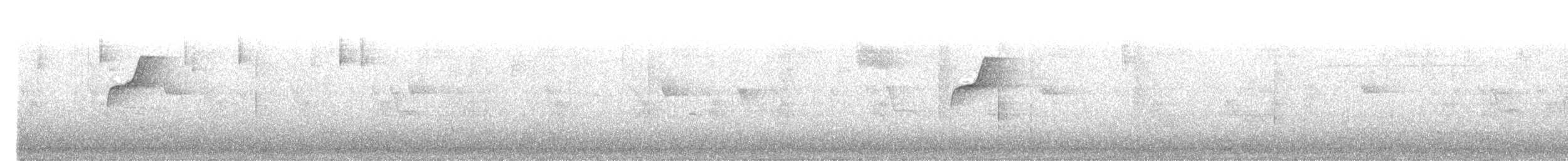 Western Flycatcher - ML638883033