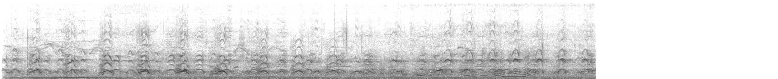 Goéland d'Audubon - ML638883422