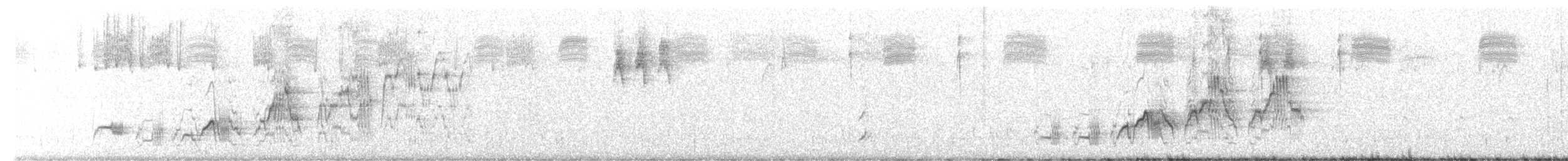 Swainson's Thrush - ML638884118