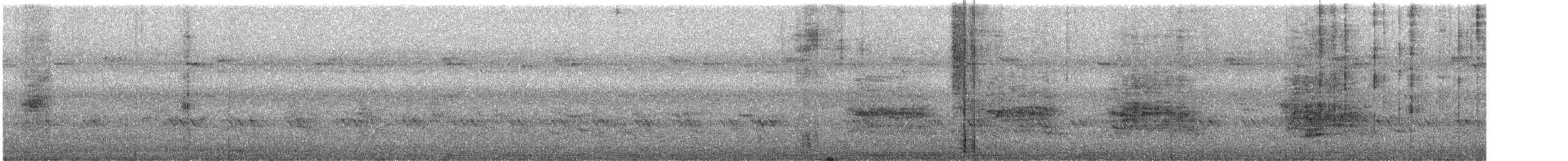 Spotted Owlet - ML638887377