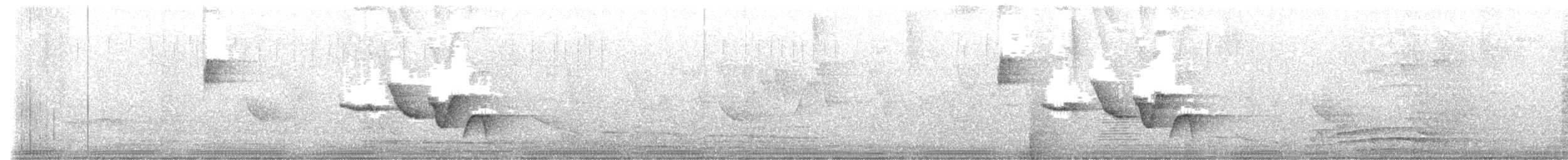 Speckle-breasted Wren - ML638887778