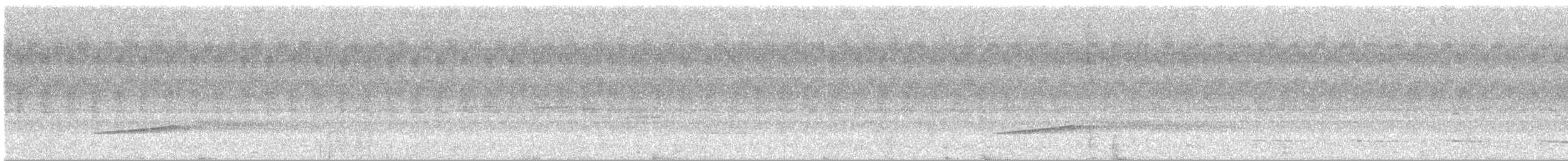 Marbled Wren-Babbler - ML638888198