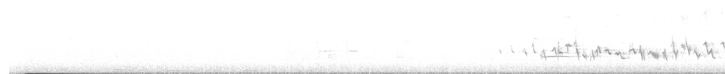 House Finch - ML638888658