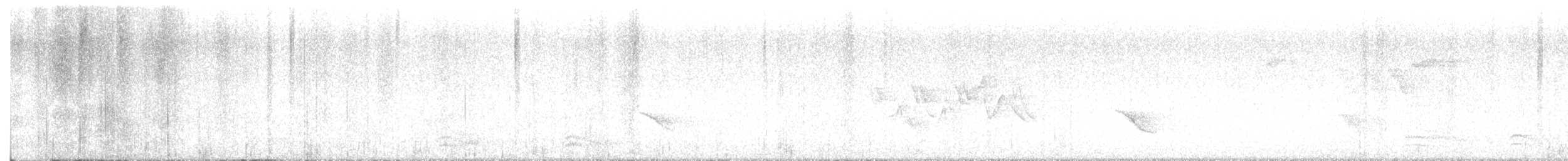 Magnolia Warbler - ML638891615