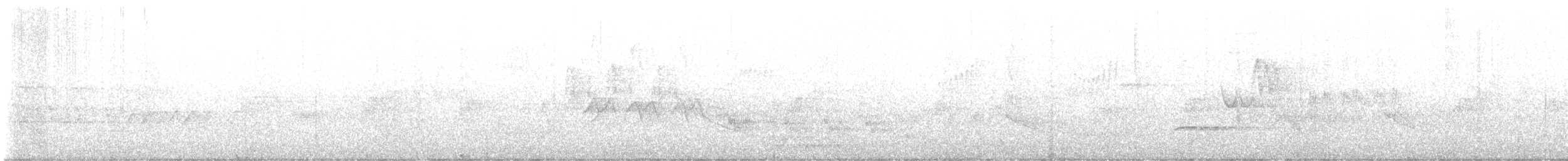 White-eared Sibia - ML638893669