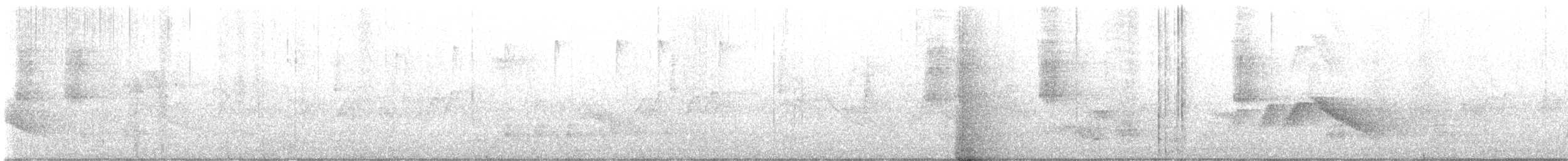 White-eared Sibia - ML638893738