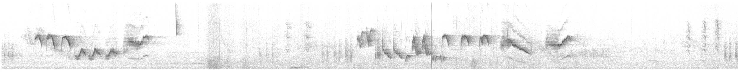 Southern House Wren - ML638895363