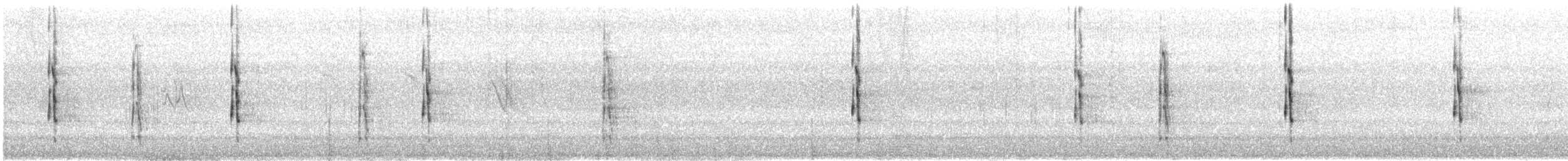 Lewis's Woodpecker - ML638898353