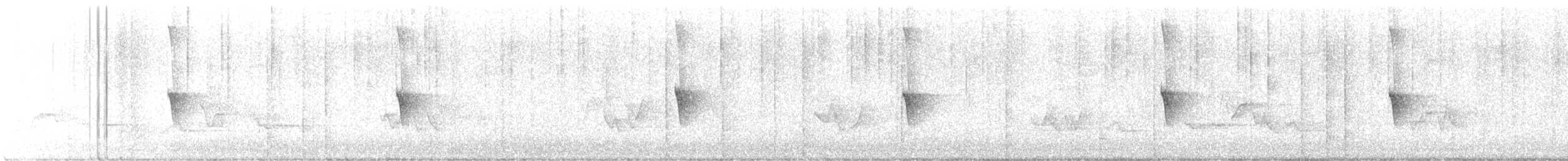 Eastern Phoebe - ML638898415