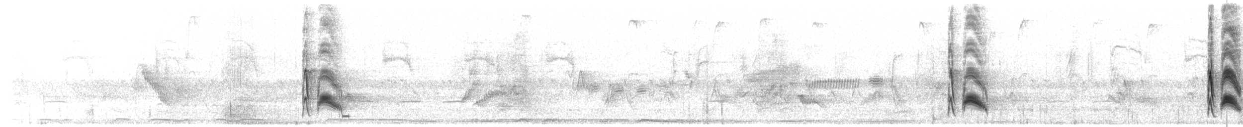 Cassin's Kingbird - ML638898538