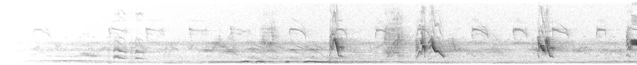 Plumbeous Vireo - ML638898965