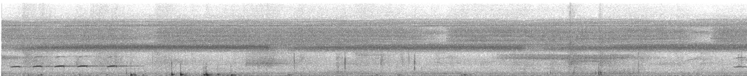Wing-barred Piprites - ML638902072