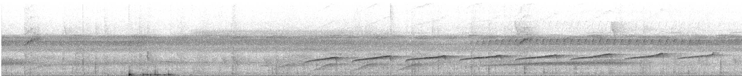 Common Scale-backed Antbird - ML638902158