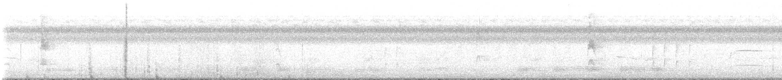 Red-cockaded Woodpecker - ML638903739