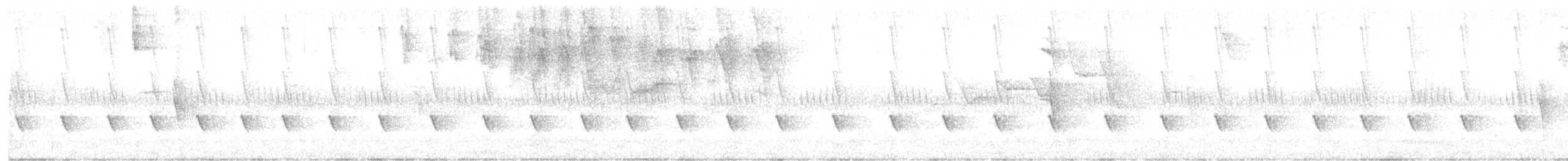 Sombre Hummingbird - ML638903829