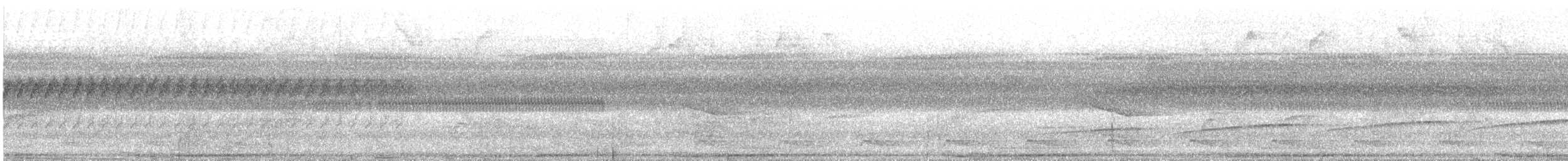 Common Scale-backed Antbird - ML638903889