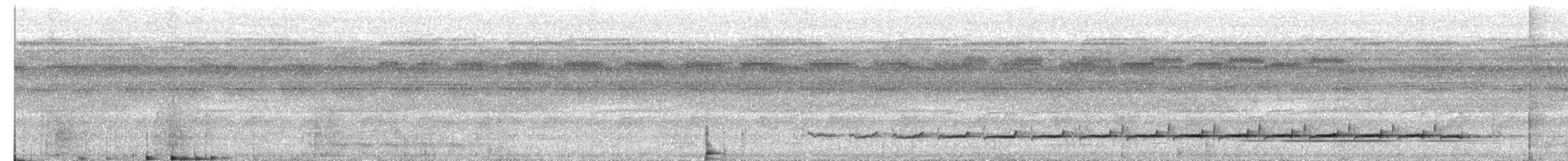 Fulvous Antshrike - ML638904310