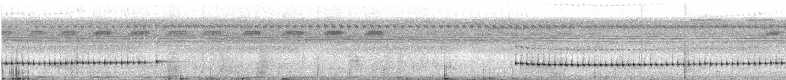 Tétéma colma - ML638904316