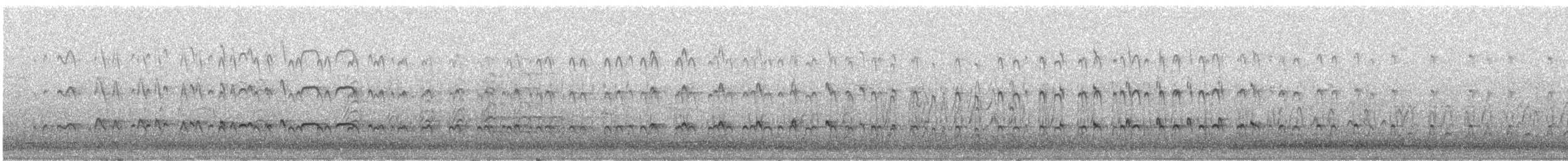 Eurasian Oystercatcher - ML638904407