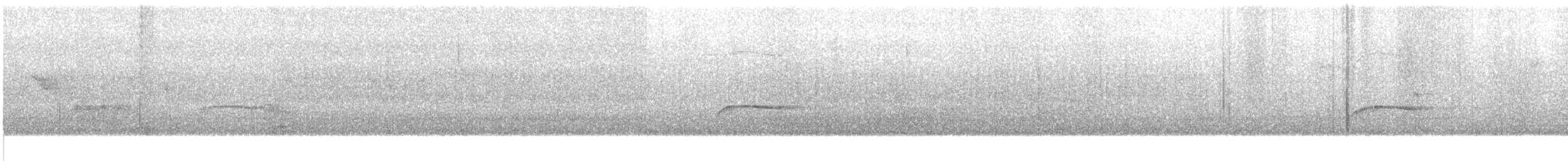 Southern Beardless-Tyrannulet - ML638906994