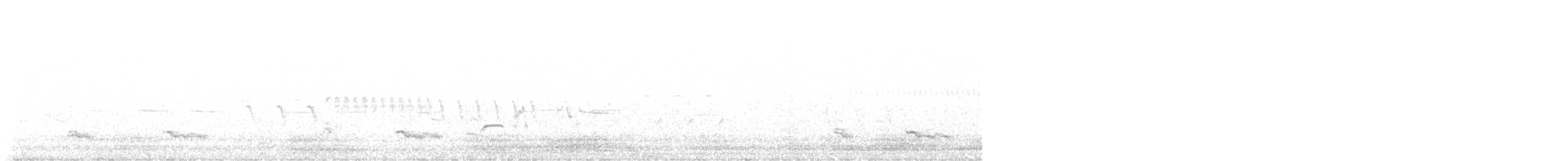 Mountain Bluebird - ML638907819