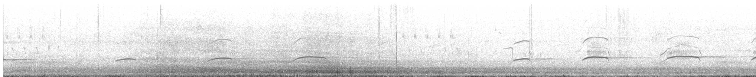 Zone-tailed Hawk - ML638908800