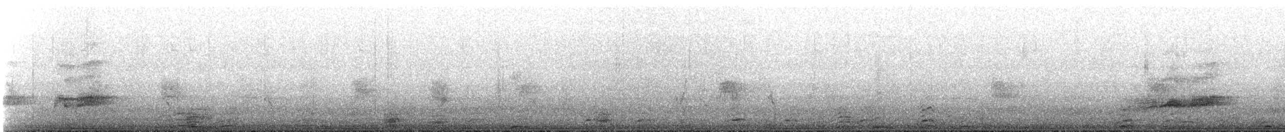 Plumbeous Rail - ML638909498