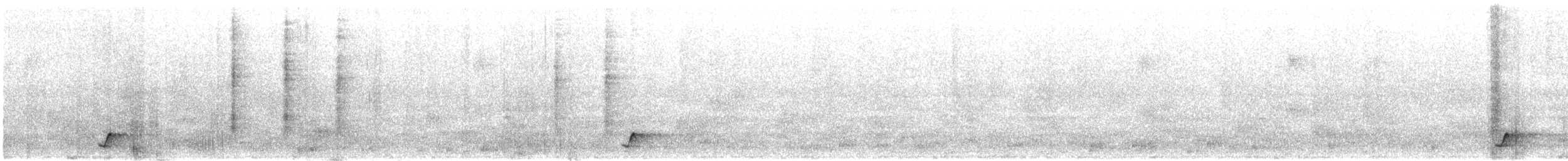 Such's Antthrush - ML638910296