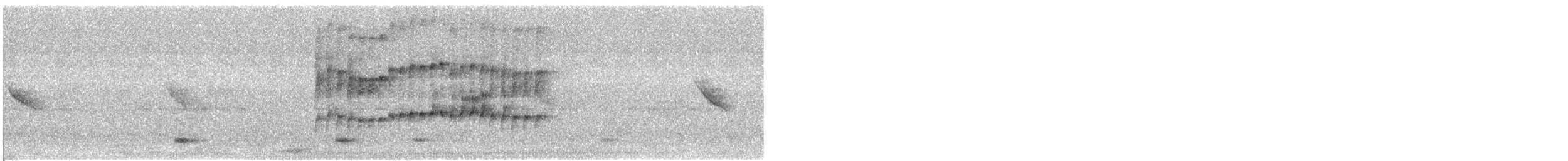 Mottle-cheeked Tyrannulet - ML638910386