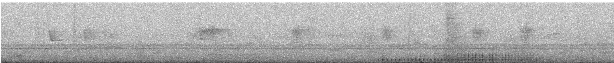 Lineated Woodpecker - ML638910474