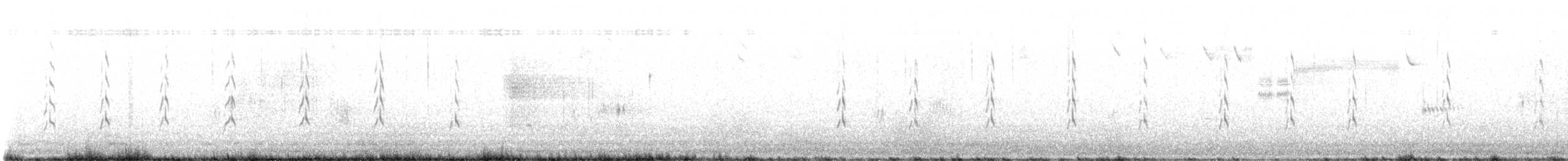 Willet - ML638910989