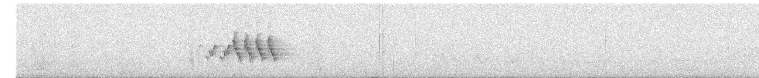 MacGillivray's Warbler - ML638911067