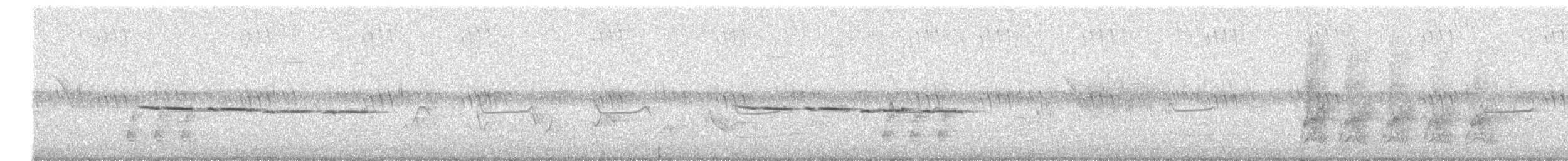 amerikameis - ML638911276