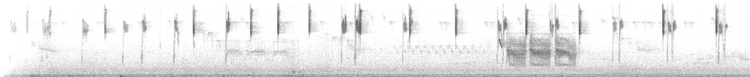 Chipping Sparrow - ML638911342