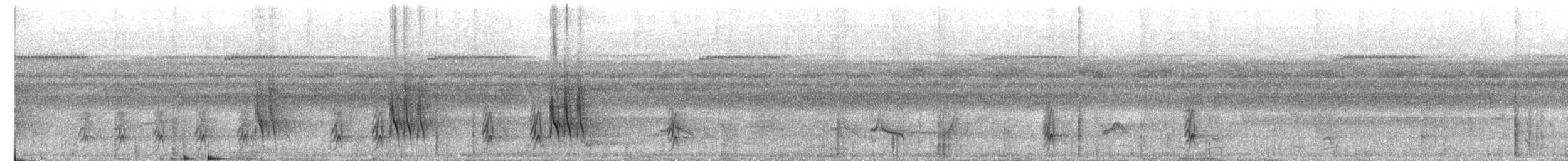 Cinereous Antshrike - ML638912188