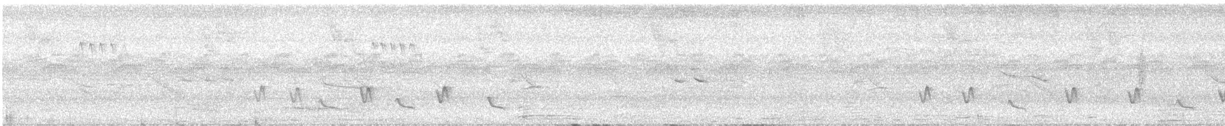 White-lined Tanager - ML638913916