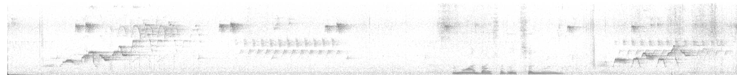 Swainson's Thrush - ML638914147