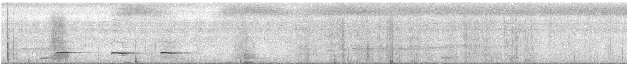 svartstrupemaurrikse - ML638914355