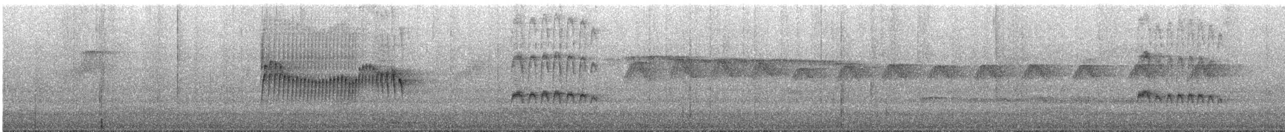 エクアドルヒゲハエトリ - ML638915559