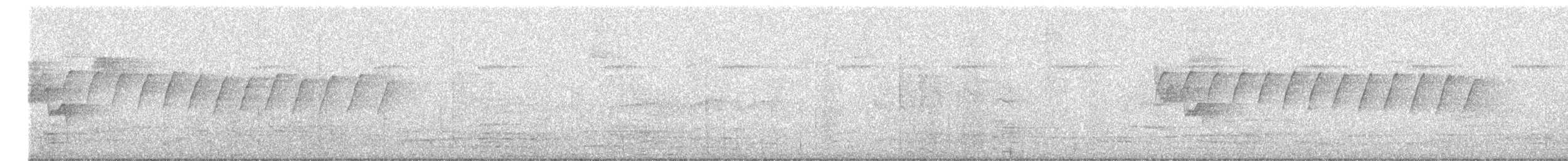 White-browed Gnatcatcher - ML638915615