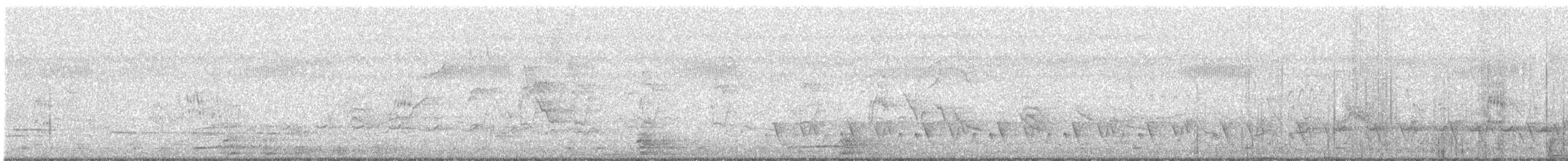 Greenish Elaenia - ML638916273