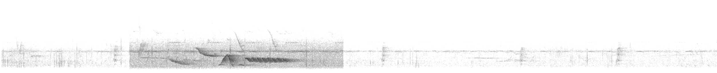 Black-throated Wren - ML638917539
