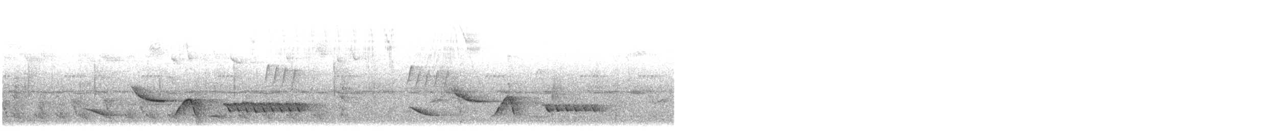 Black-throated Wren - ML638917927