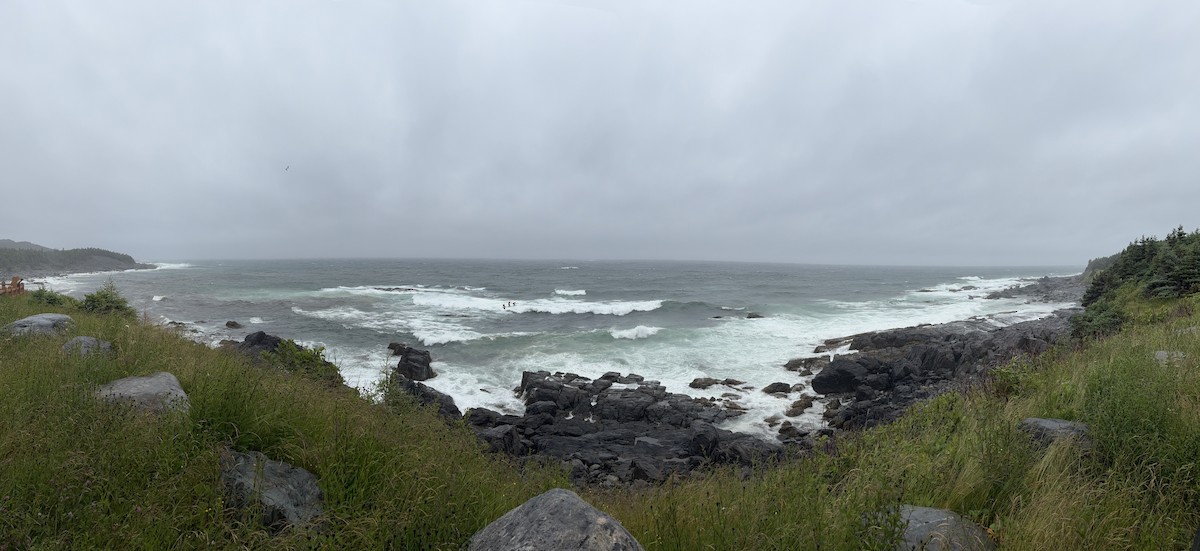 null - ML638919246