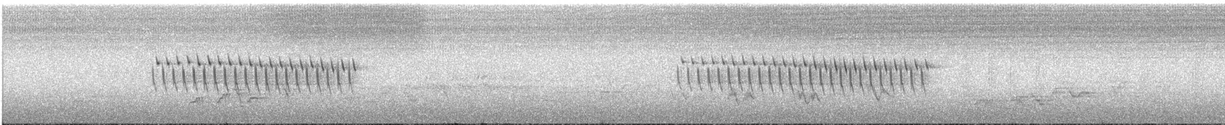 ユキヒメドリ（mearnsi） - ML638919521